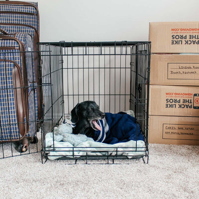 Moving with Your Dog