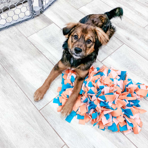 DIY Dog Snuffle Mat