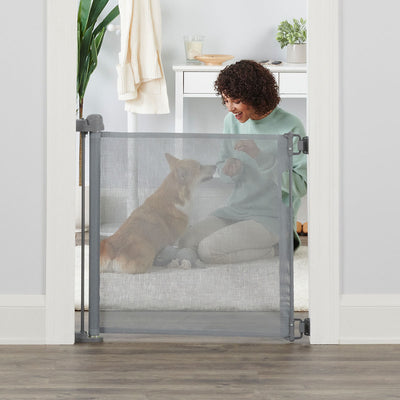 How to Train Your Dog To Greet Guests