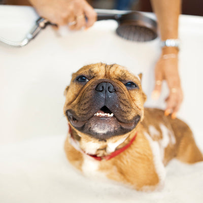 How To Make Bath Time Easier