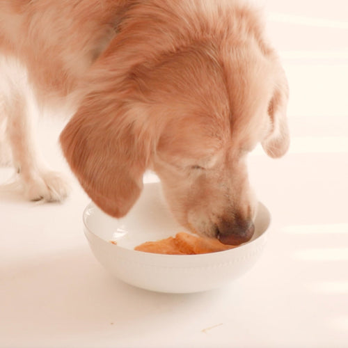 Halloween Dog Treat Recipe