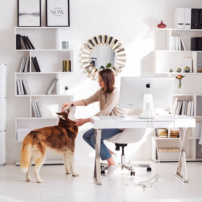 Pet Safety in the Workplace