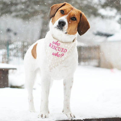 Rescue Story: Emily of Pups On Par