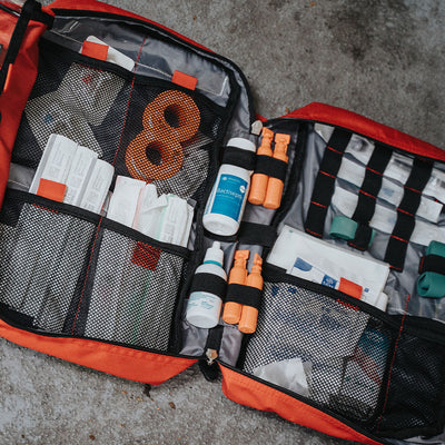 What Should Be in Your Dog First Aid Kit