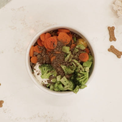 6 Ways to Elevate Your Dog’s Food