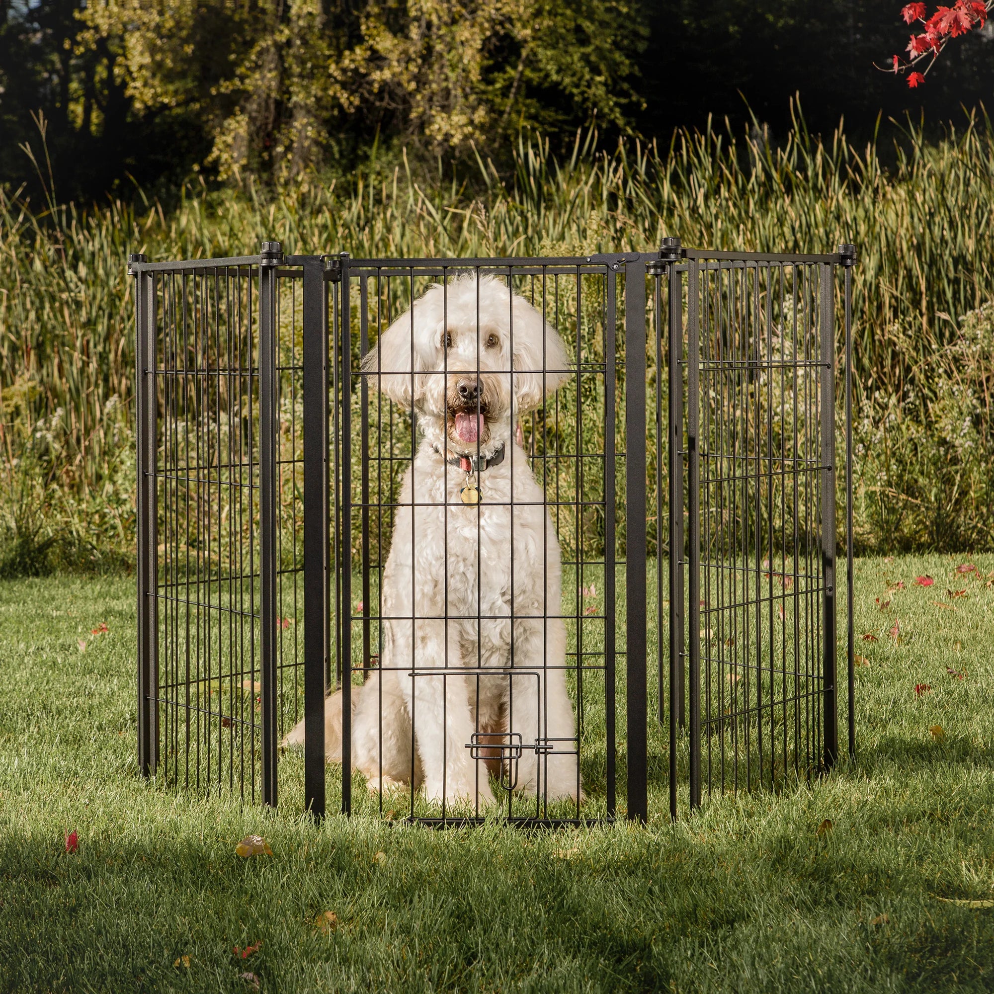 The Carlson Outdoor Super Wide Pet Pen & Gate with Small Pet Door is a versatile, extra tall 32” gate made from durable black steel. It expands up to 144” wide and includes a walk-through door with a safety lock. Ideal for both small and large pets, it’s perfect for securing outdoor spaces and ensuring safety.