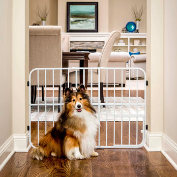 Carlson Tuffy® Expandable Pet Gate in white, durable steel frame, pressure-mounted, adjustable 26"-38", with small pet door for easy access.