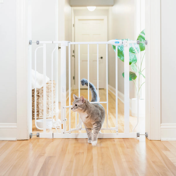 Extra Wide Walk Thru Pet Gate