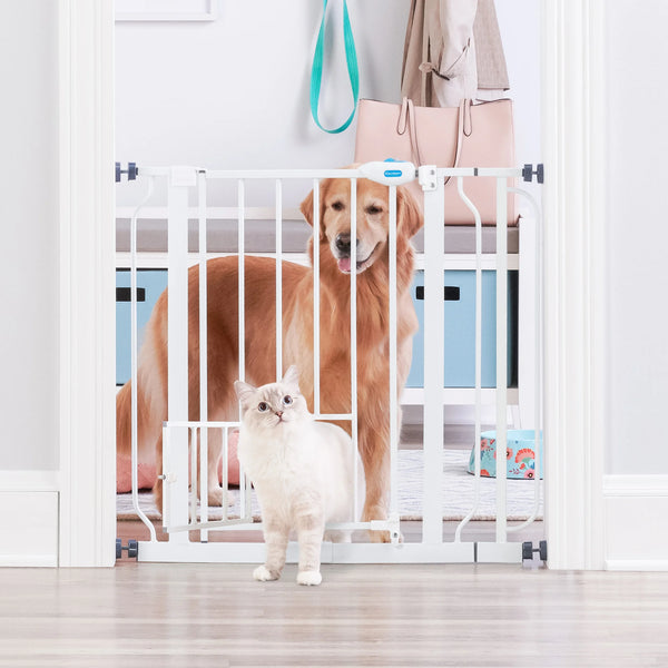 Carlson 41 hot sale inch pet gate