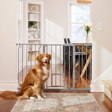 The Carlson 51” Extra Wide Walk-Thru Pet Gate is a durable all-steel gate designed to fit openings between 29” and 51” wide. It features a 16.5” wide walk-through door, a patented small pet door for easy passage of small animals, and a pressure-mounted system for easy installation with no drilling.