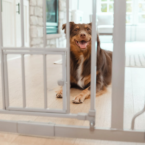 36 inch sales tall pet gate