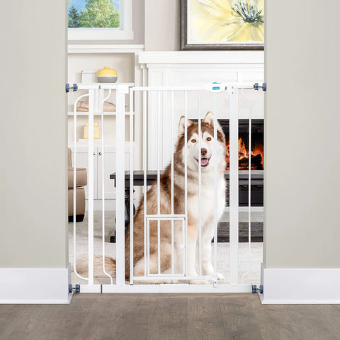 Carlson gates top