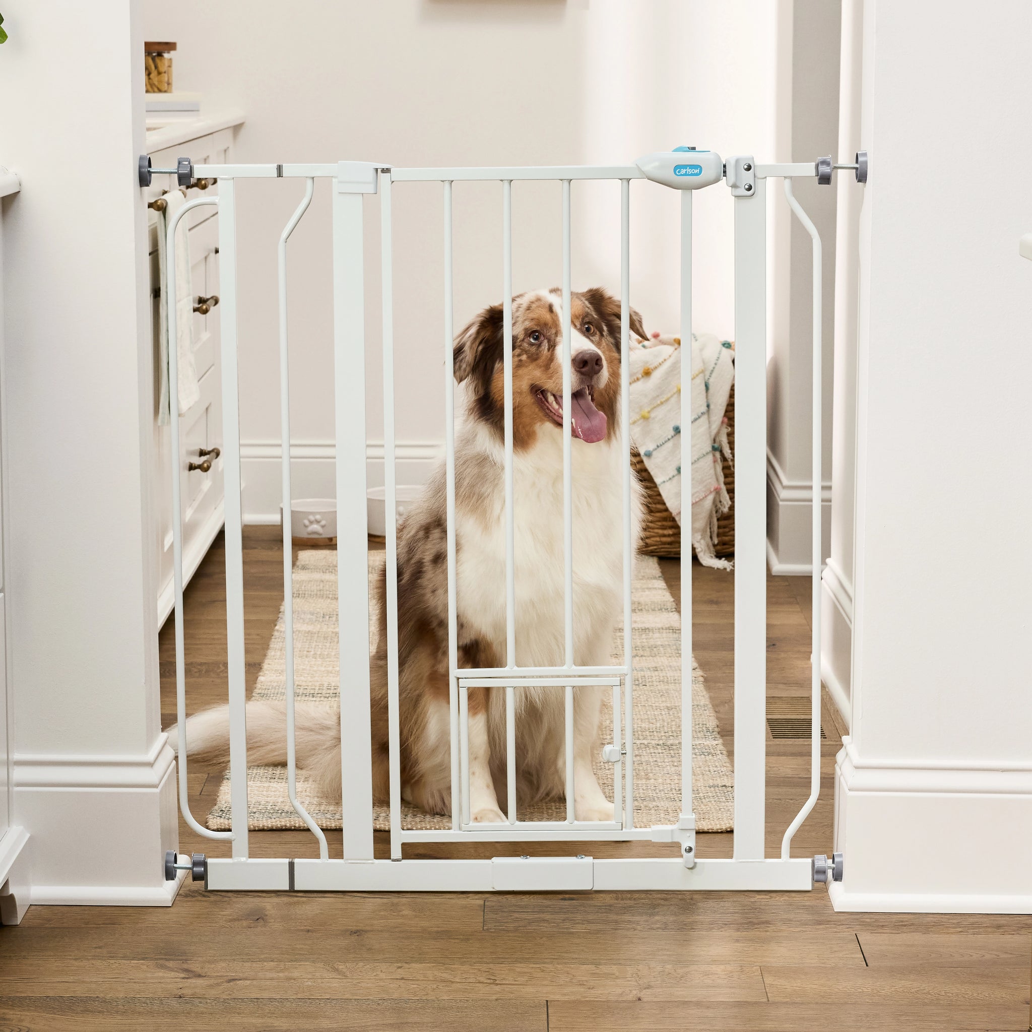 The Carlson 36” Extra Tall Walk-Thru Pet Gate with Small Pet Door in white, made of durable steel, is designed to keep pets safely contained. It features a 36” height, expandable width (29” to 36.5”), easy walk-through door, and a small pet door for small animals to pass through while keeping larger pets confined.