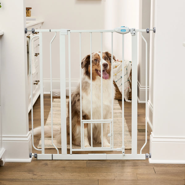 Wide Walk Thru Carlson Pet Gate Wall Cups Pressure Mounted Baby
