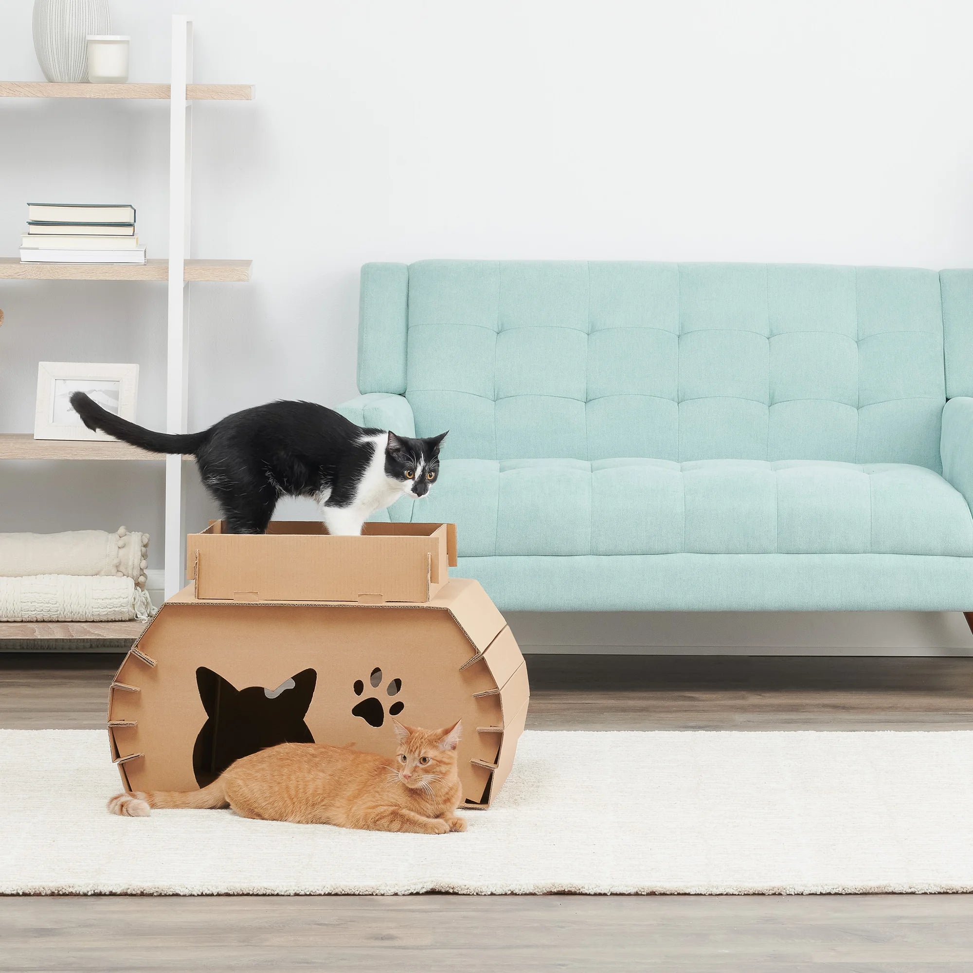 The Carlson Cat Camper and Scratcher is a compact, eco-friendly playhouse made from durable cardboard. Featuring a cat door, three paw-shaped windows, and a removable scratcher, it provides a cozy, entertaining space for small animals like cats and rabbits. Easy to assemble and lightweight for easy transport.