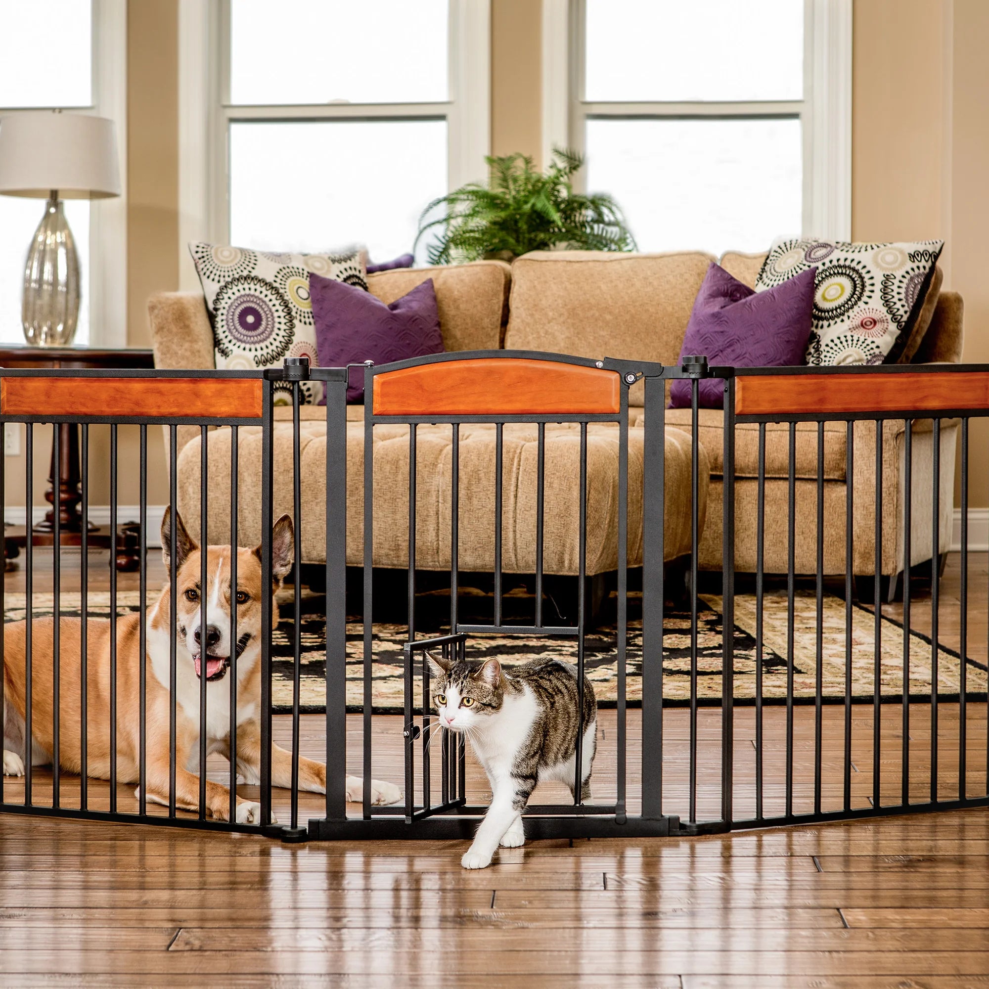 A dog sitting in the living room with a cat going through the Small Pet Door of the Design Paw Flexi Walk-Thru Pet Gate.