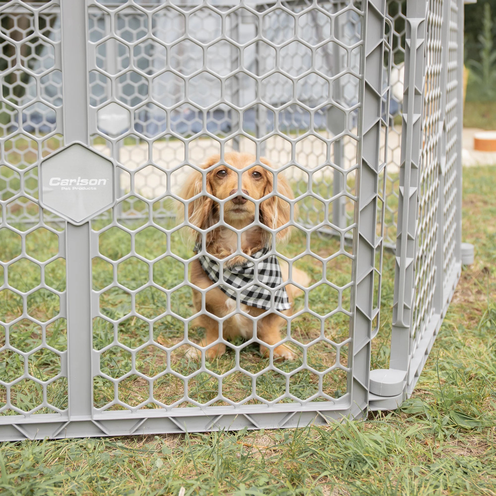 The Carlson 2-in-1 Plastic Gate & Pet Pen features six 32” panels, standing 26” tall, designed for flexible use as a pet gate or playpen. Made from durable gray plastic, it expands up to 192” wide, includes a wall-mounting system, and can be easily folded for compact storage and portability.