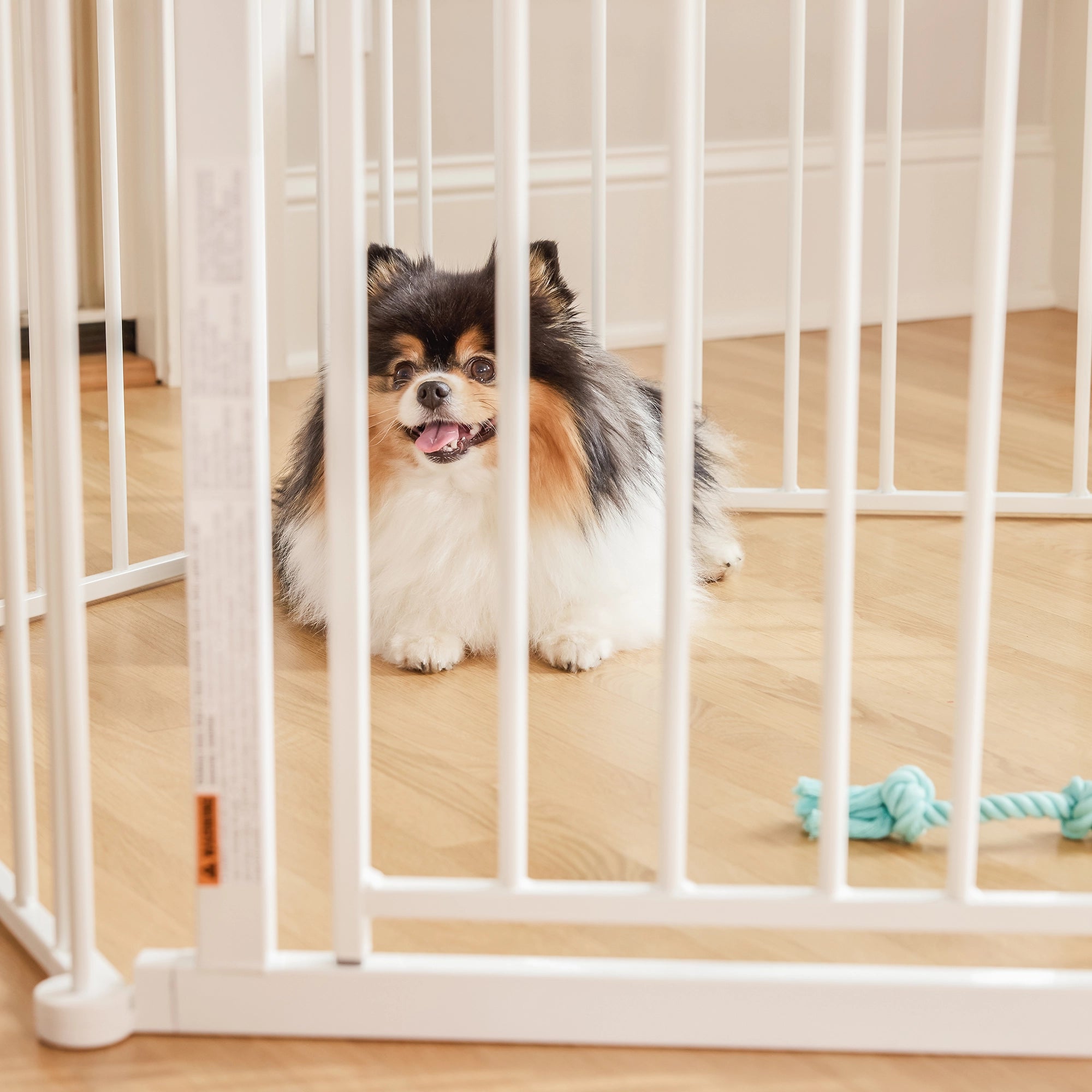 The Carlson Convertible Pet Yard is a versatile, chew-proof pet enclosure with all-steel construction. It features adjustable hinged posts, expanding from 52” to 146.5” wide. Standing 28” tall, it includes a walk-through door with a slide handle, offering a flexible and secure space for pets at home.