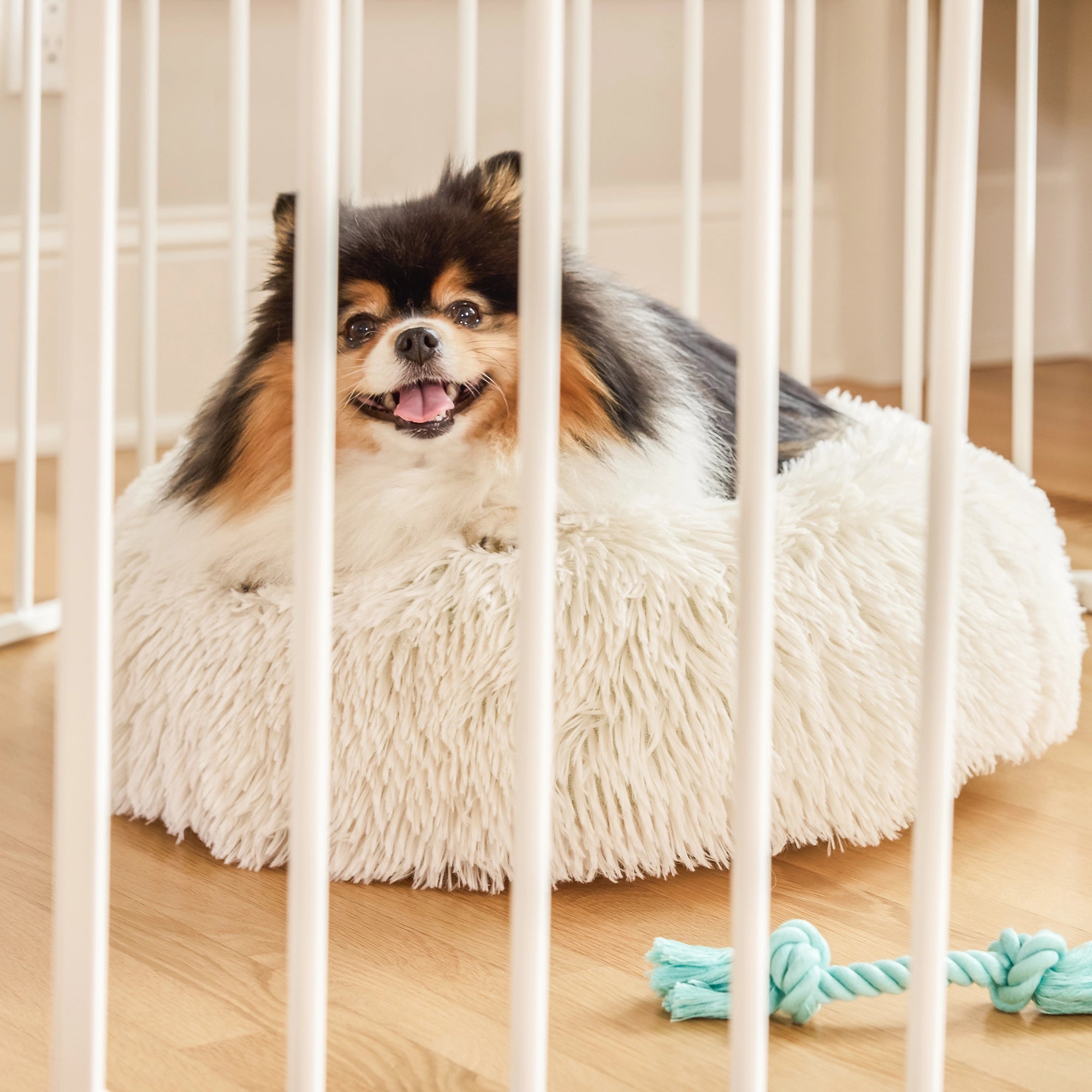 The Carlson Convertible Pet Yard is a versatile, chew-proof pet enclosure with all-steel construction. It features adjustable hinged posts, expanding from 52” to 146.5” wide. Standing 28” tall, it includes a walk-through door with a slide handle, offering a flexible and secure space for pets at home.
