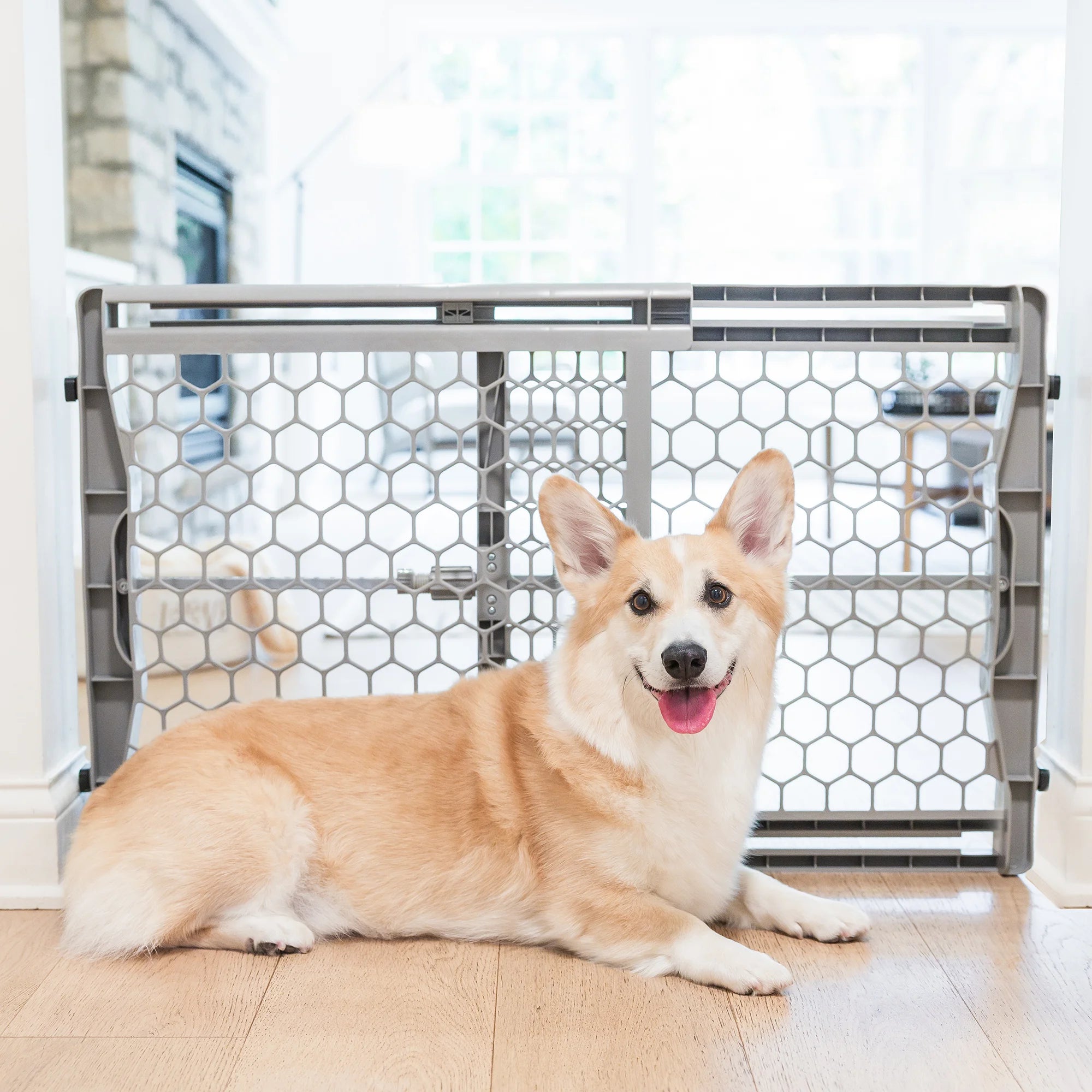Gray plastic expandable pet gate with pressure-mount installation, fits openings 28-42 inches, 23 inches tall, and includes rubber bumpers.