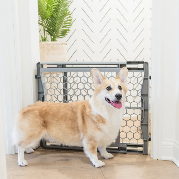 Carlson pet products gate fashion extension