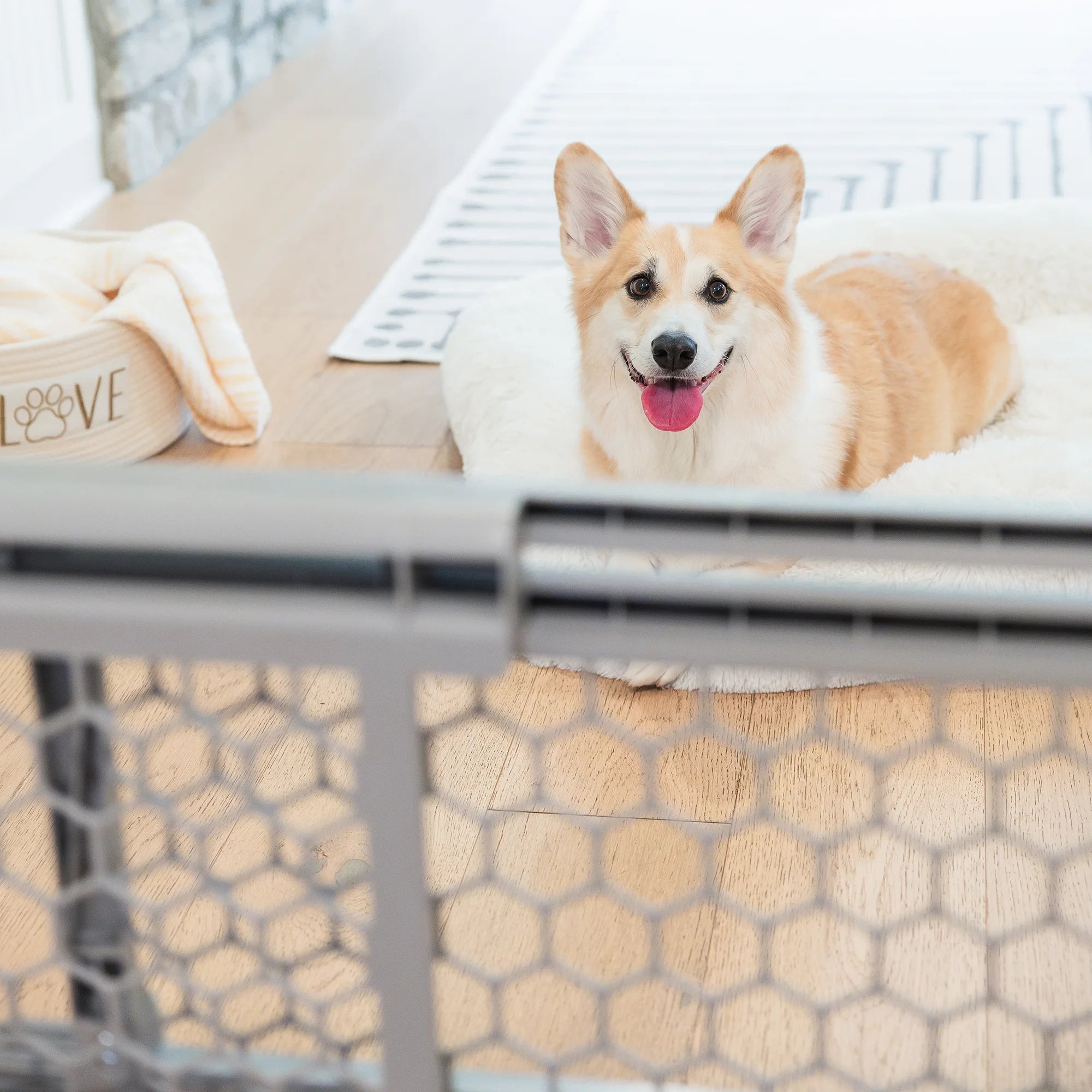 Gray plastic expandable pet gate with pressure-mount installation, fits openings 28-42 inches, 23 inches tall, and includes rubber bumpers.