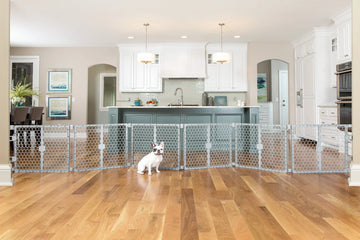 The Carlson 2-in-1 Plastic Gate & Pet Pen features six 32” panels, standing 26” tall, designed for flexible use as a pet gate or playpen. Made from durable gray plastic, it expands up to 192” wide, includes a wall-mounting system, and can be easily folded for compact storage and portability.
