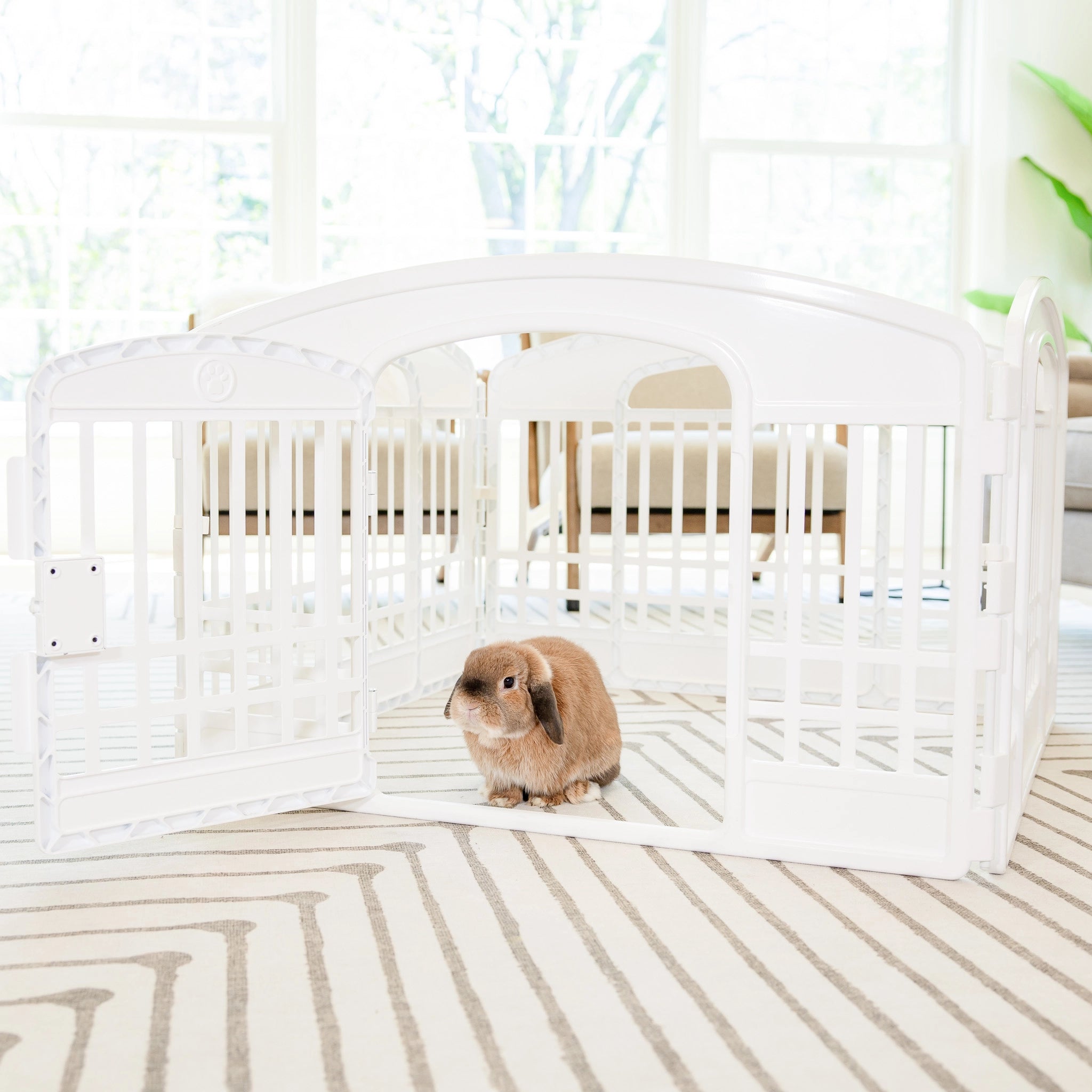 The Carlson 4-Panel Plastic Pet Pen provides a secure, versatile enclosure for small pets. Made with non-toxic materials, it’s lightweight, easy to set up, clean, and expand for both indoor and outdoor use.
