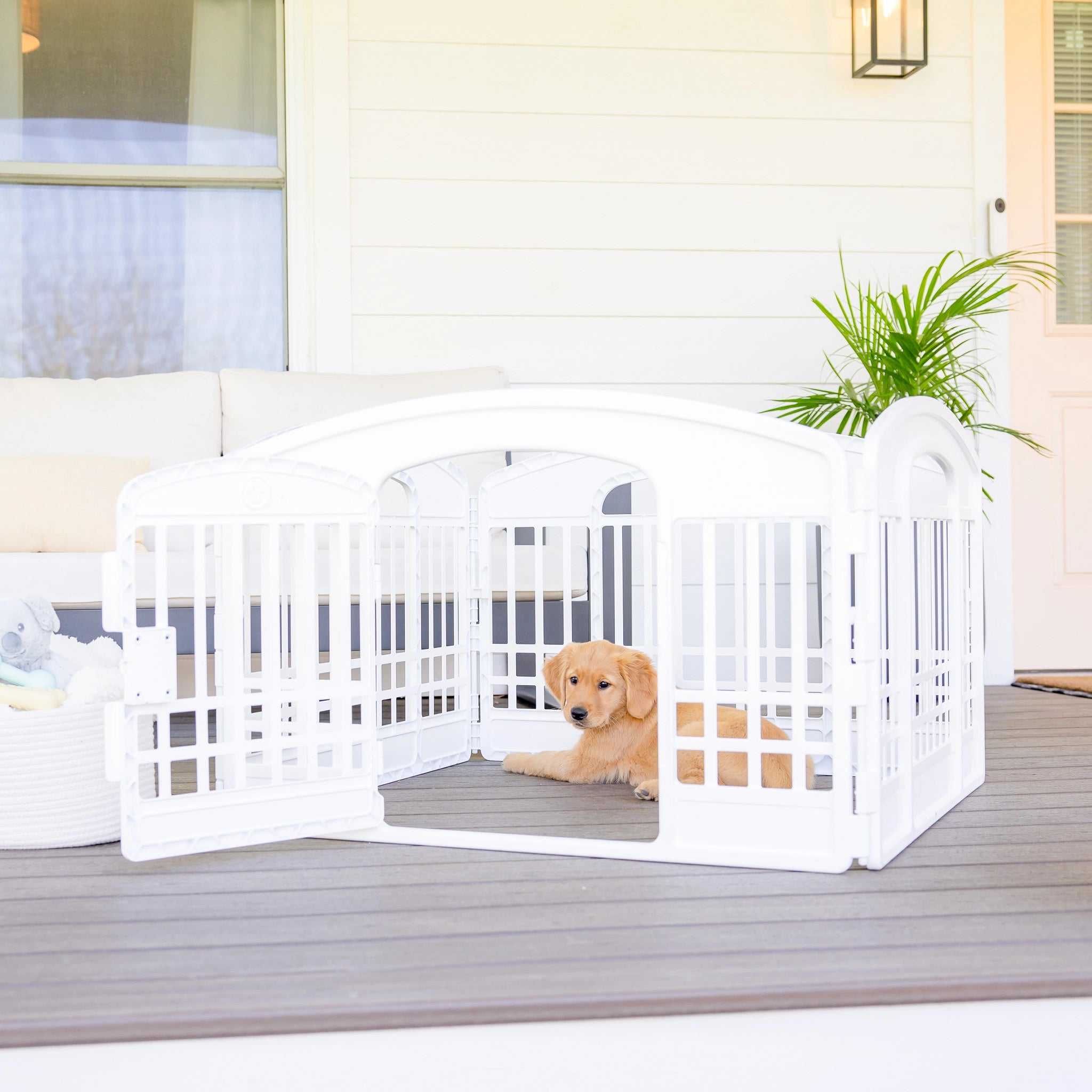 The Carlson 4-Panel Plastic Pet Pen provides a secure, versatile enclosure for small pets. Made with non-toxic materials, it’s lightweight, easy to set up, clean, and expand for both indoor and outdoor use.