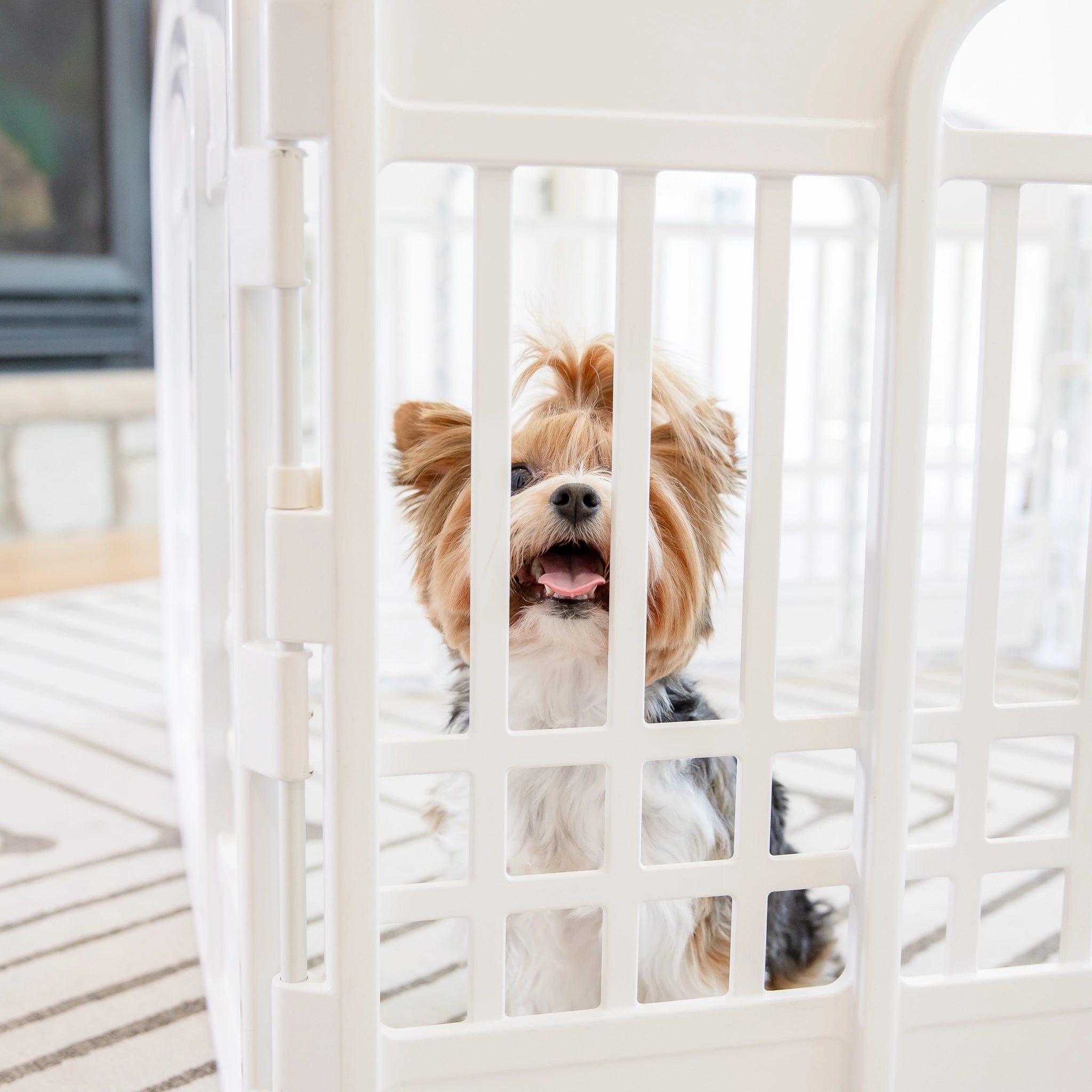 The Carlson 4-Panel Plastic Pet Pen provides a secure, versatile enclosure for small pets. Made with non-toxic materials, it’s lightweight, easy to set up, clean, and expand for both indoor and outdoor use.