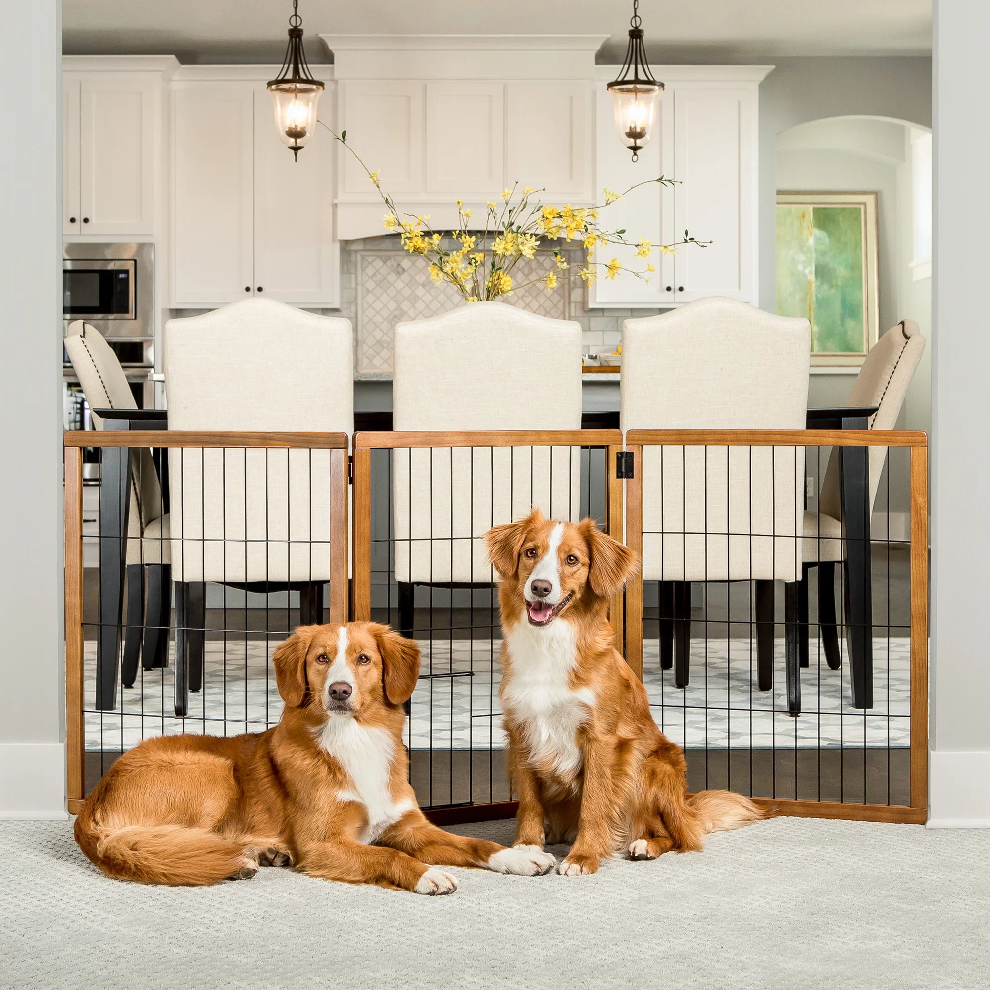 Two dogs sitting in a living room in front of the Design Paw Tall 3 Panel Wooden Pet Gate.