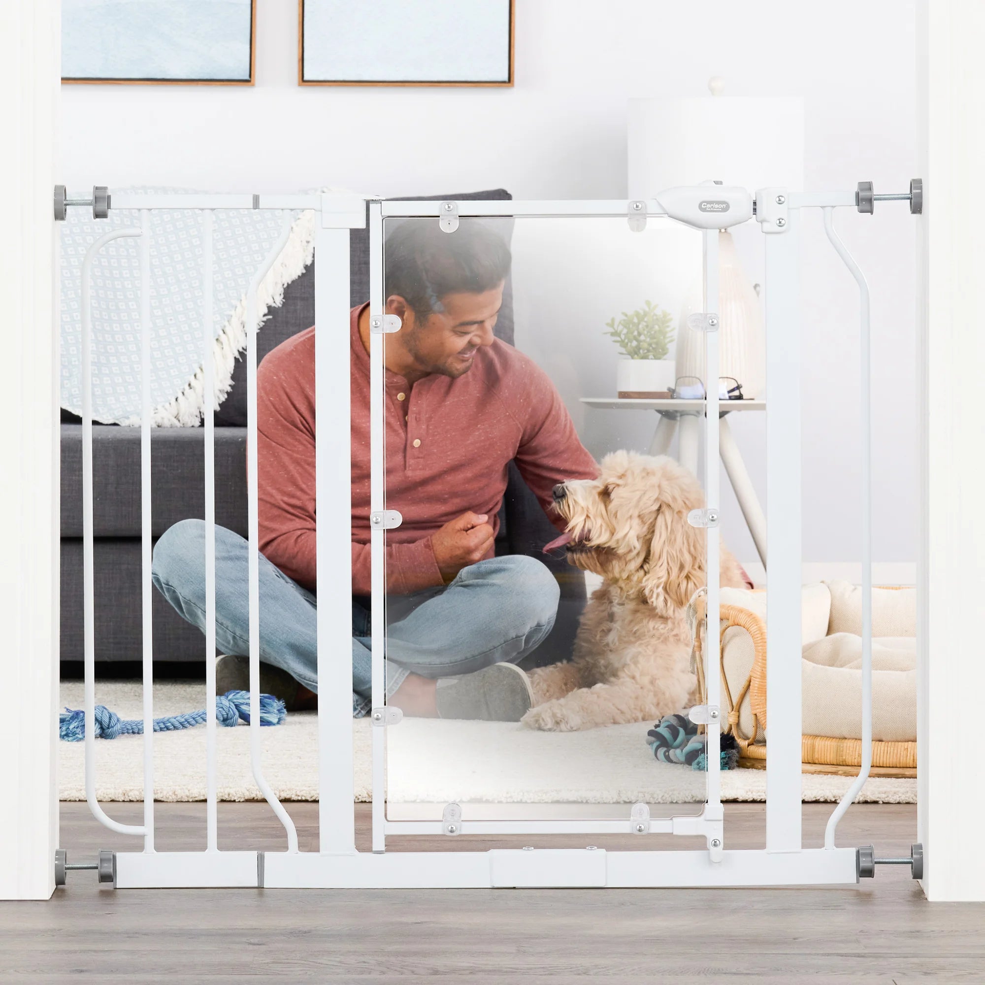 Carlson Direct View® Walk-Thru Pet Gate in white with a clear acrylic door panel. Features a 16.5" wide door for easy walk-through, a chew-proof metal frame, and a pressure-mount system for simple installation. Expands to fit openings between 29" – 38.5" and stands 30" tall. Ideal for pets and households.