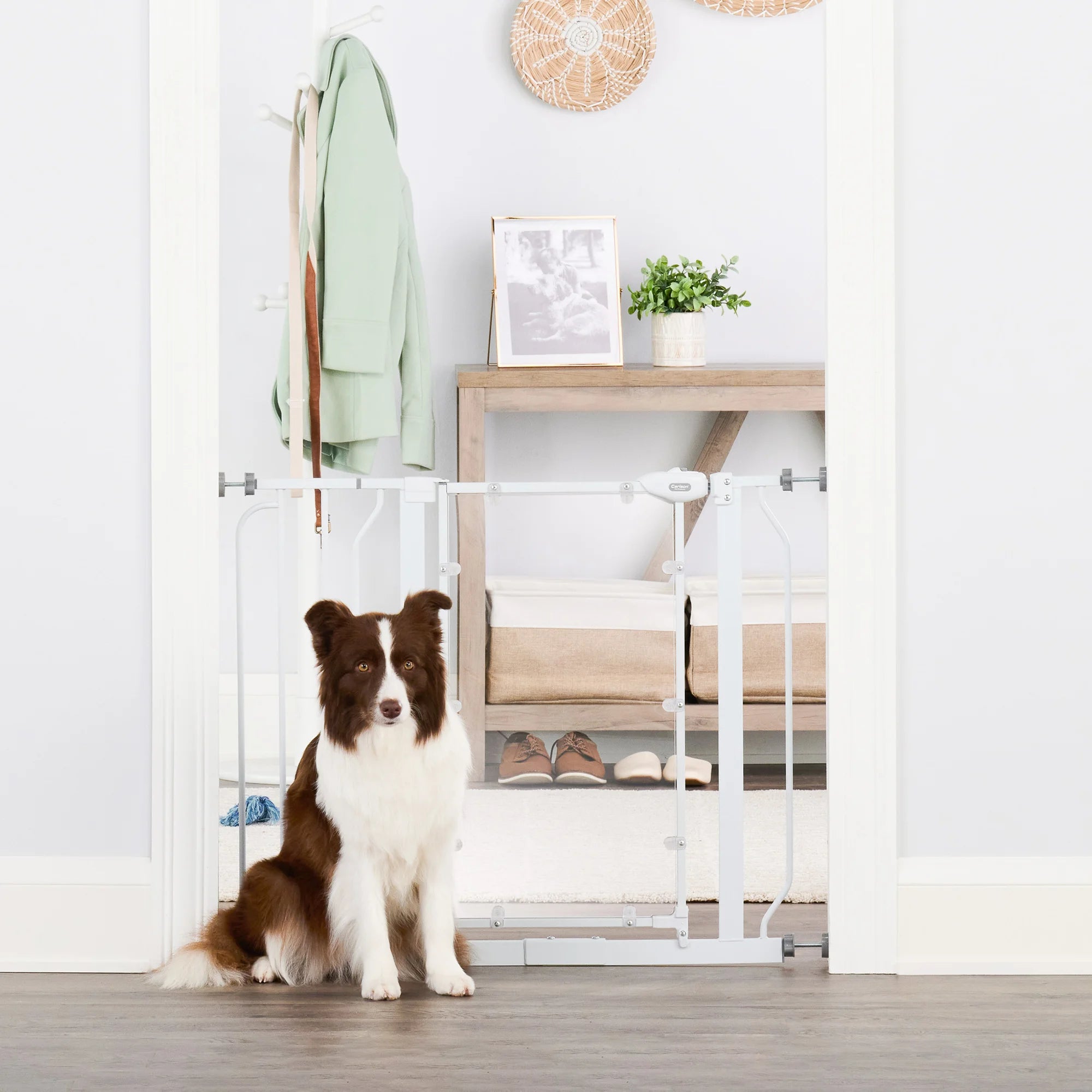 Carlson Direct View® Walk-Thru Pet Gate in white with a clear acrylic door panel. Features a 16.5" wide door for easy walk-through, a chew-proof metal frame, and a pressure-mount system for simple installation. Expands to fit openings between 29" – 38.5" and stands 30" tall. Ideal for pets and households.