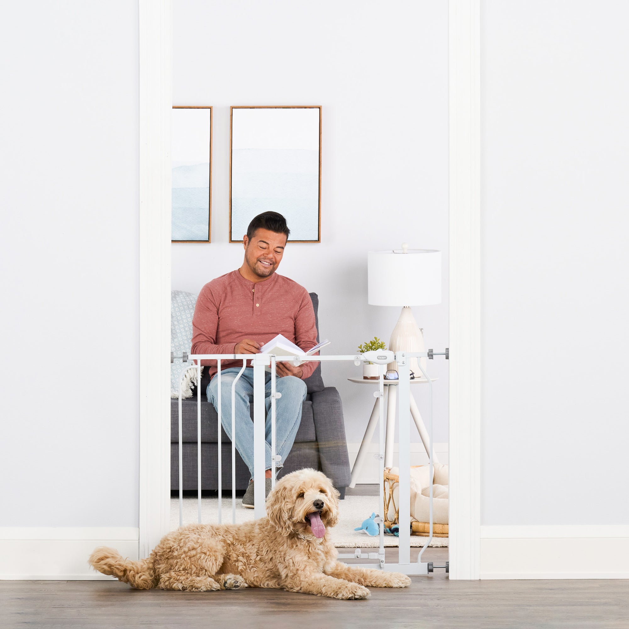 Carlson Direct View® Walk-Thru Pet Gate in white with a clear acrylic door panel. Features a 16.5" wide door for easy walk-through, a chew-proof metal frame, and a pressure-mount system for simple installation. Expands to fit openings between 29" – 38.5" and stands 30" tall. Ideal for pets and households.