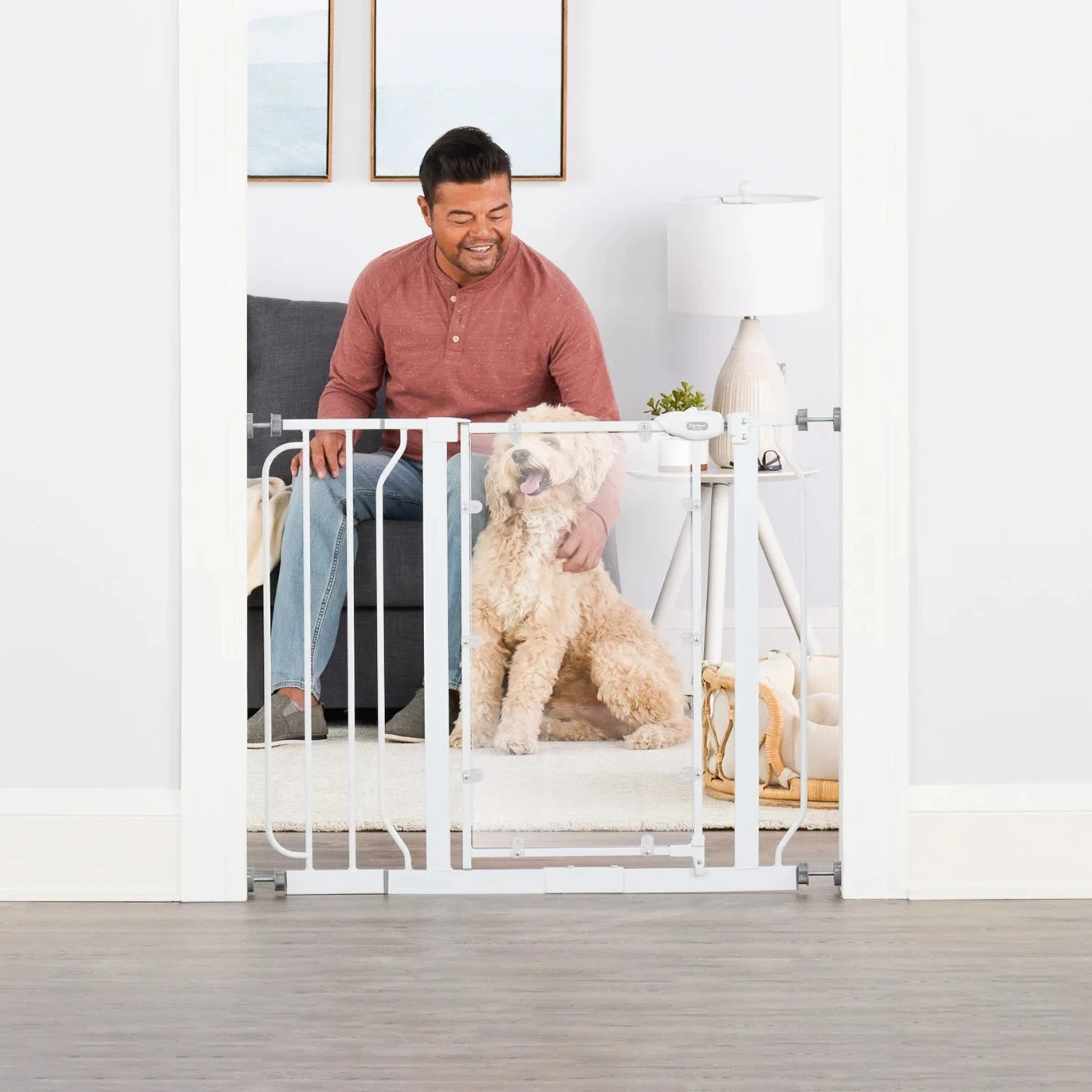 Carlson Direct View® Walk-Thru Pet Gate in white with a clear acrylic door panel. Features a 16.5" wide door for easy walk-through, a chew-proof metal frame, and a pressure-mount system for simple installation. Expands to fit openings between 29" – 38.5" and stands 30" tall. Ideal for pets and households.