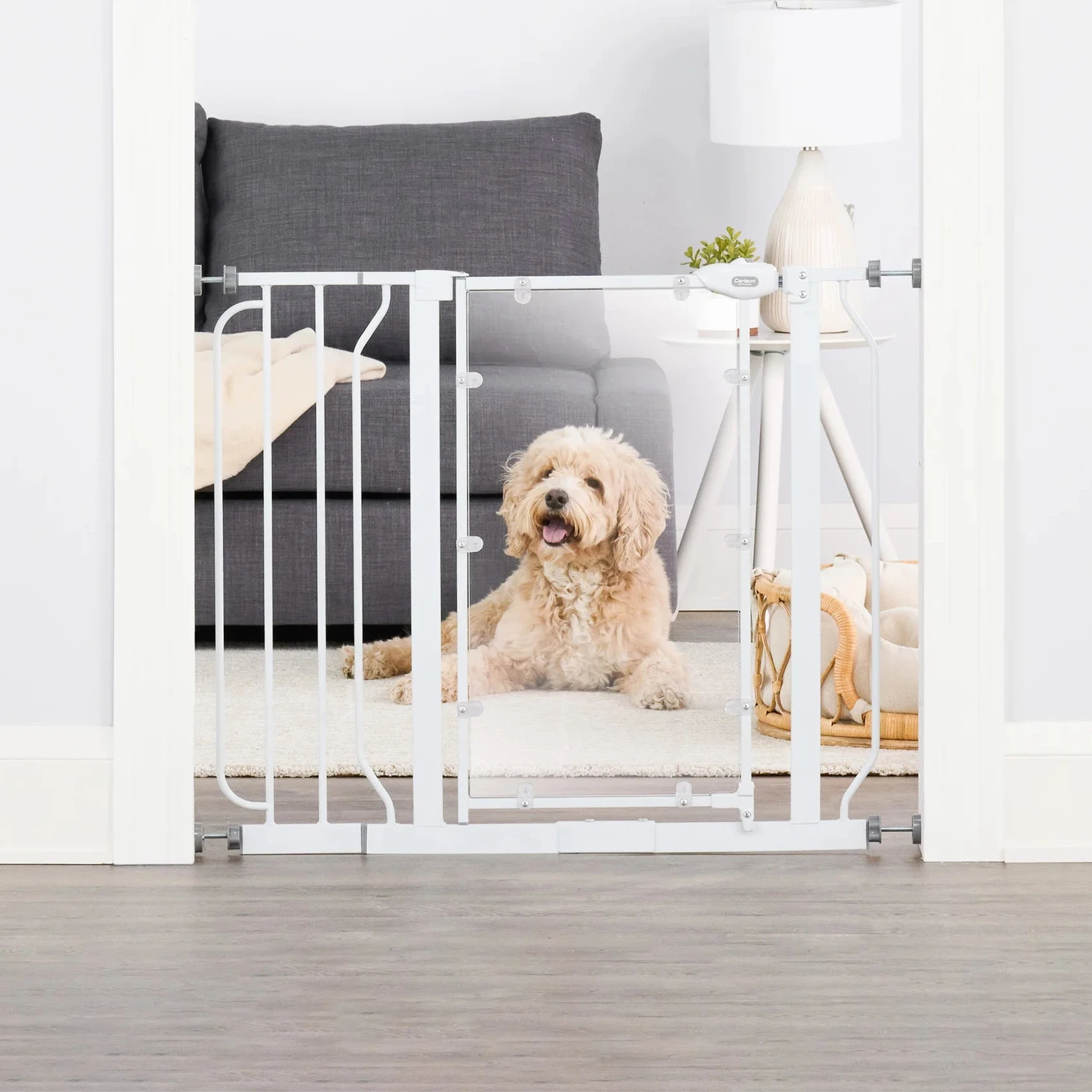 Carlson Direct View® Walk-Thru Pet Gate in white with a clear acrylic door panel. Features a 16.5" wide door for easy walk-through, a chew-proof metal frame, and a pressure-mount system for simple installation. Expands to fit openings between 29" – 38.5" and stands 30" tall. Ideal for pets and households.
