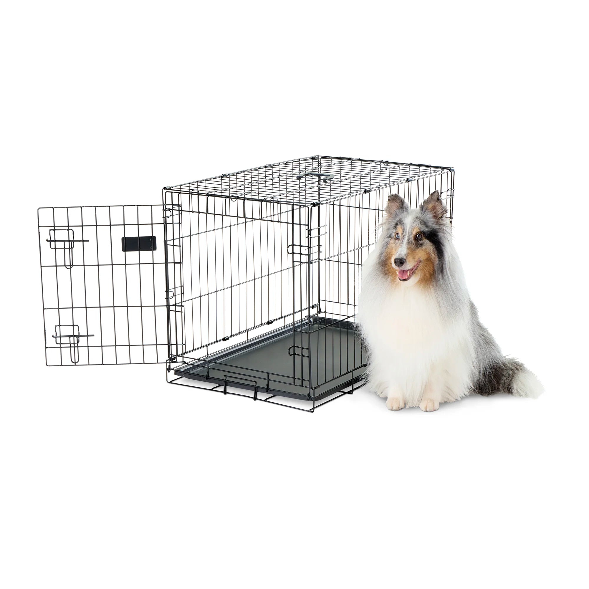 Carlson Medium Single-Door Dog Crate in black, made of durable steel wire. Measures 30” L x 19” W x 21.5” H, with a multi-point locking system for security. Folds flat for easy storage and portability. Removable bottom pan for easy cleaning. Ideal for small to medium dogs up to 24” long.