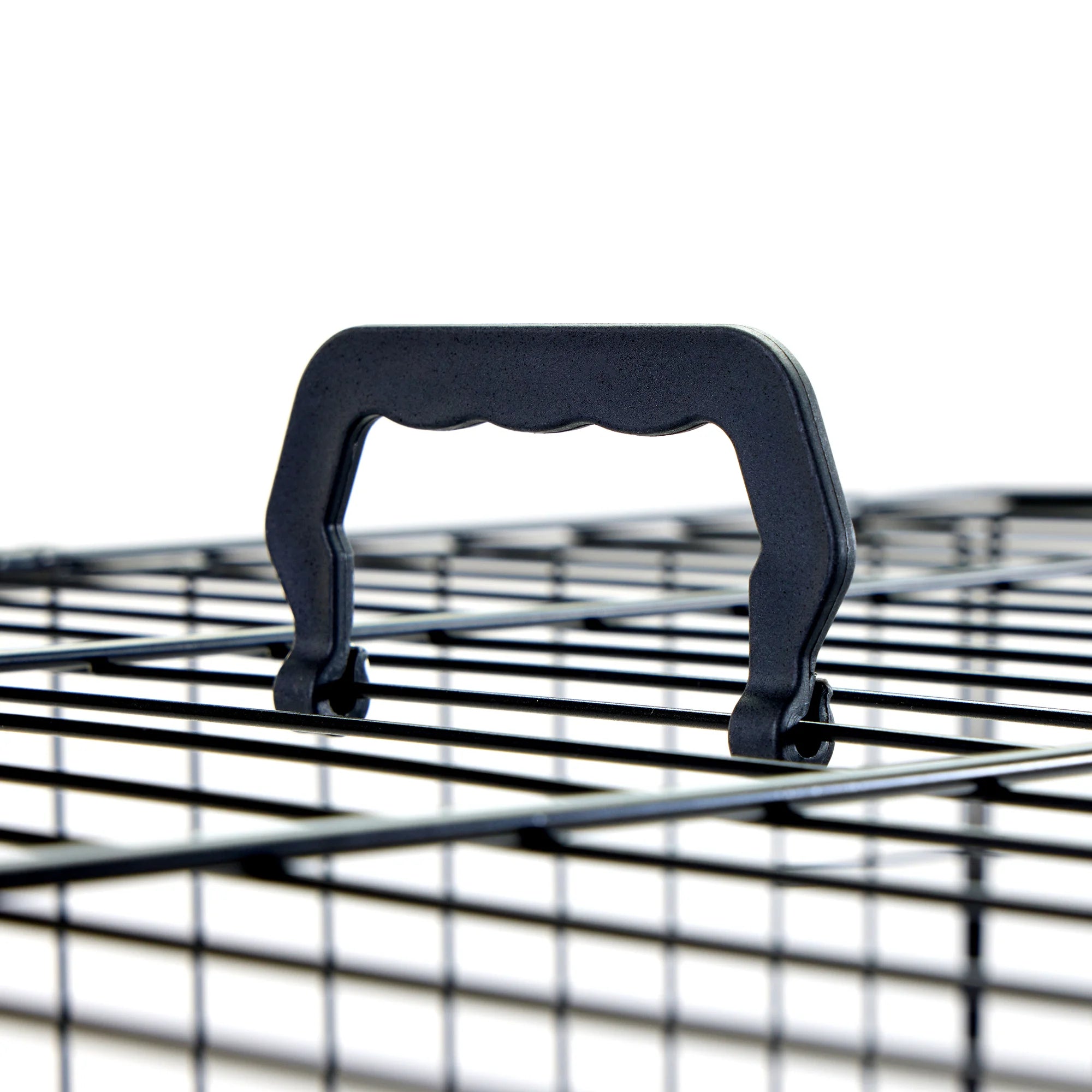 Carlson Medium Single-Door Dog Crate in black, made of durable steel wire. Measures 30” L x 19” W x 21.5” H, with a multi-point locking system for security. Folds flat for easy storage and portability. Removable bottom pan for easy cleaning. Ideal for small to medium dogs up to 24” long.