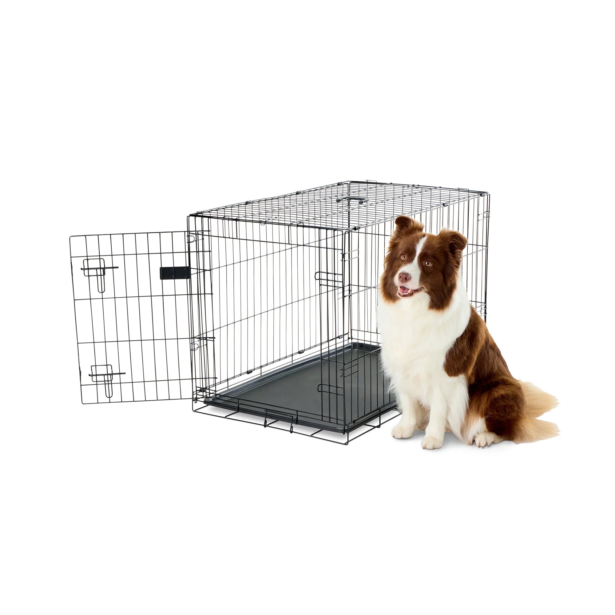 Carlson Intermediate Dog Crate on white background.