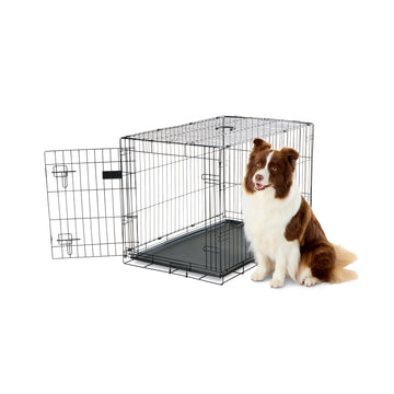 Carlson Intermediate Single-Door Dog Crate in black, made of durable steel wire. Measures 36” L x 23” W x 25.5” H, with a multi-point locking system for security. Features one front door, folds flat for easy storage, and includes a removable bottom pan for easy cleaning. Ideal for medium-sized dogs.