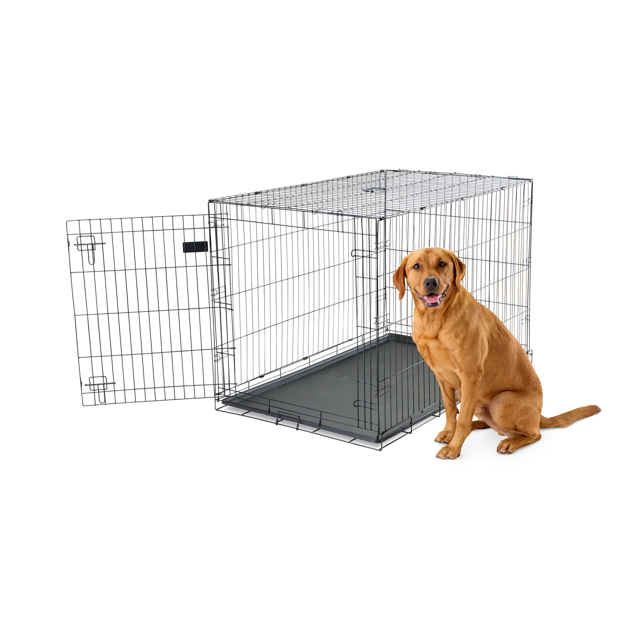 The Carlson Extra-Large Single-Door Dog Crate is a black, steel wire kennel measuring 48” L x 30” W x 32.5” H. It features one front door with a multi-point locking system, folds flat for easy storage and travel, and includes a removable, washable bottom pan for easy cleaning. Ideal for large to extra-large dogs.