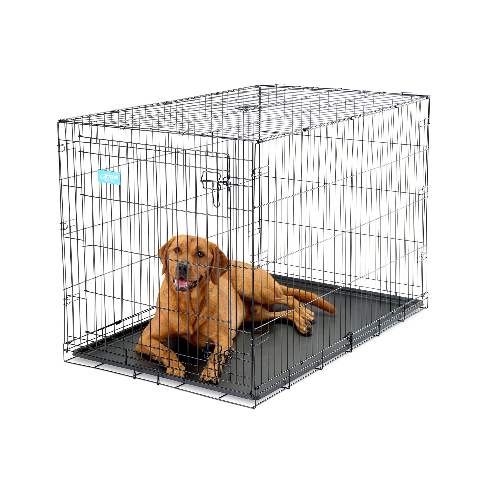 The Carlson Extra-Large Single-Door Dog Crate is a black, steel wire kennel measuring 48” L x 30” W x 32.5” H. It features one front door with a multi-point locking system, folds flat for easy storage and travel, and includes a removable, washable bottom pan for easy cleaning. Ideal for large to extra-large dogs.