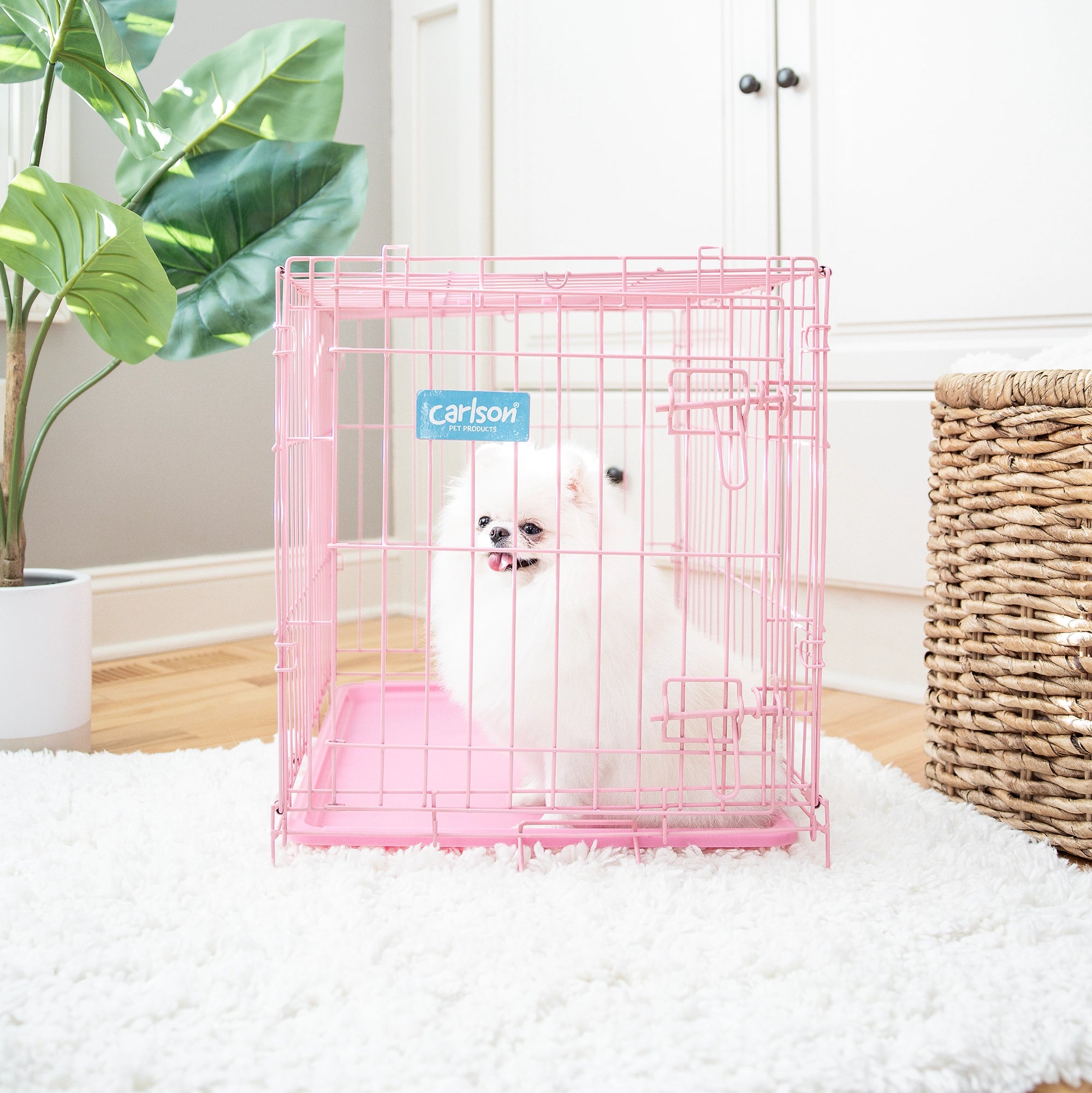 The Carlson Small Single-Door Dog Crate in pink is a durable steel wire kennel measuring 24” L x 18” W x 20.5” H. It features a multi-point locking system, a front door for easy access, and a removable bottom pan for easy cleaning. The crate folds nearly flat for convenient travel and storage. Ideal for small dogs.