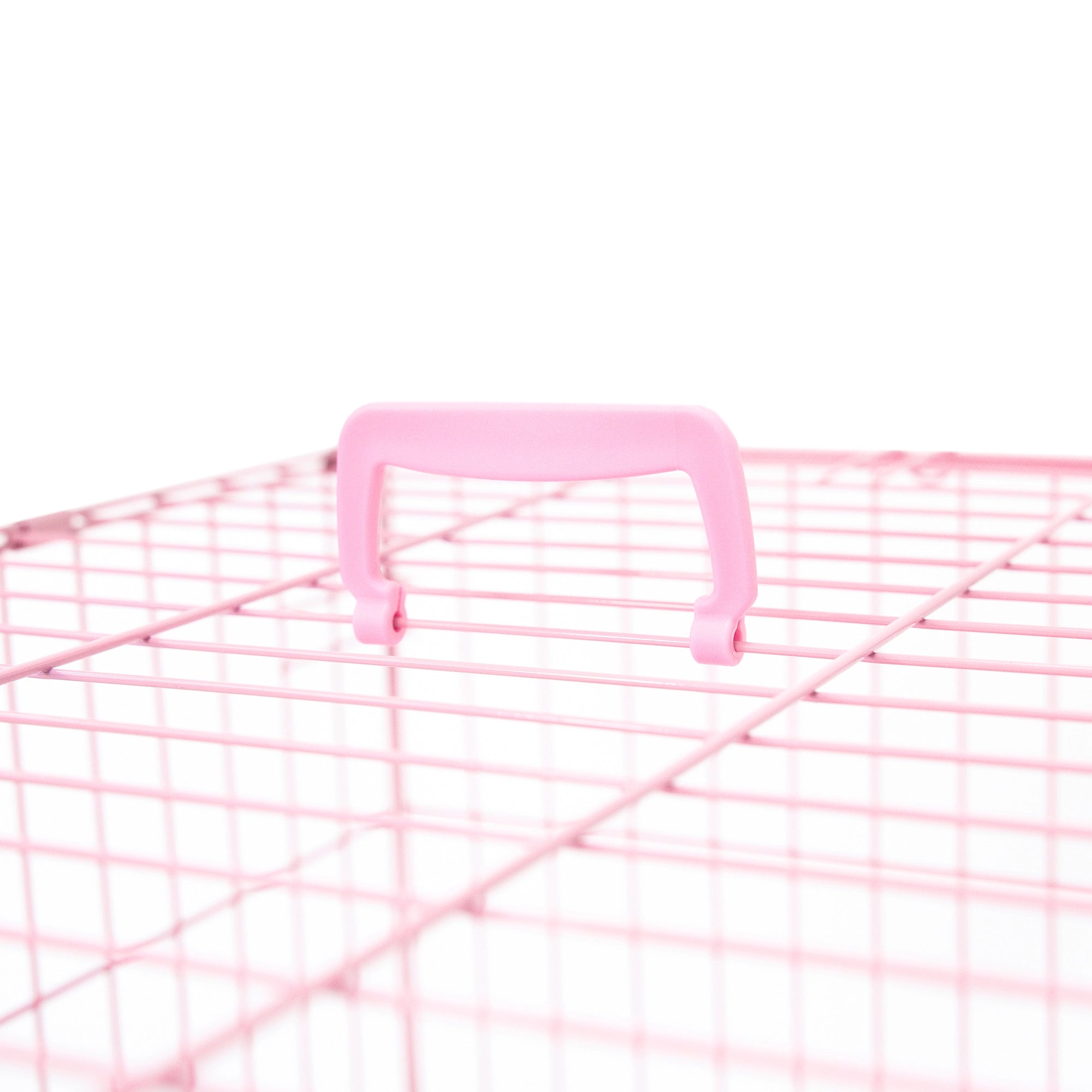 The Carlson Small Single-Door Dog Crate in pink is a durable steel wire kennel measuring 24” L x 18” W x 20.5” H. It features a multi-point locking system, a front door for easy access, and a removable bottom pan for easy cleaning. The crate folds nearly flat for convenient travel and storage. Ideal for small dogs.