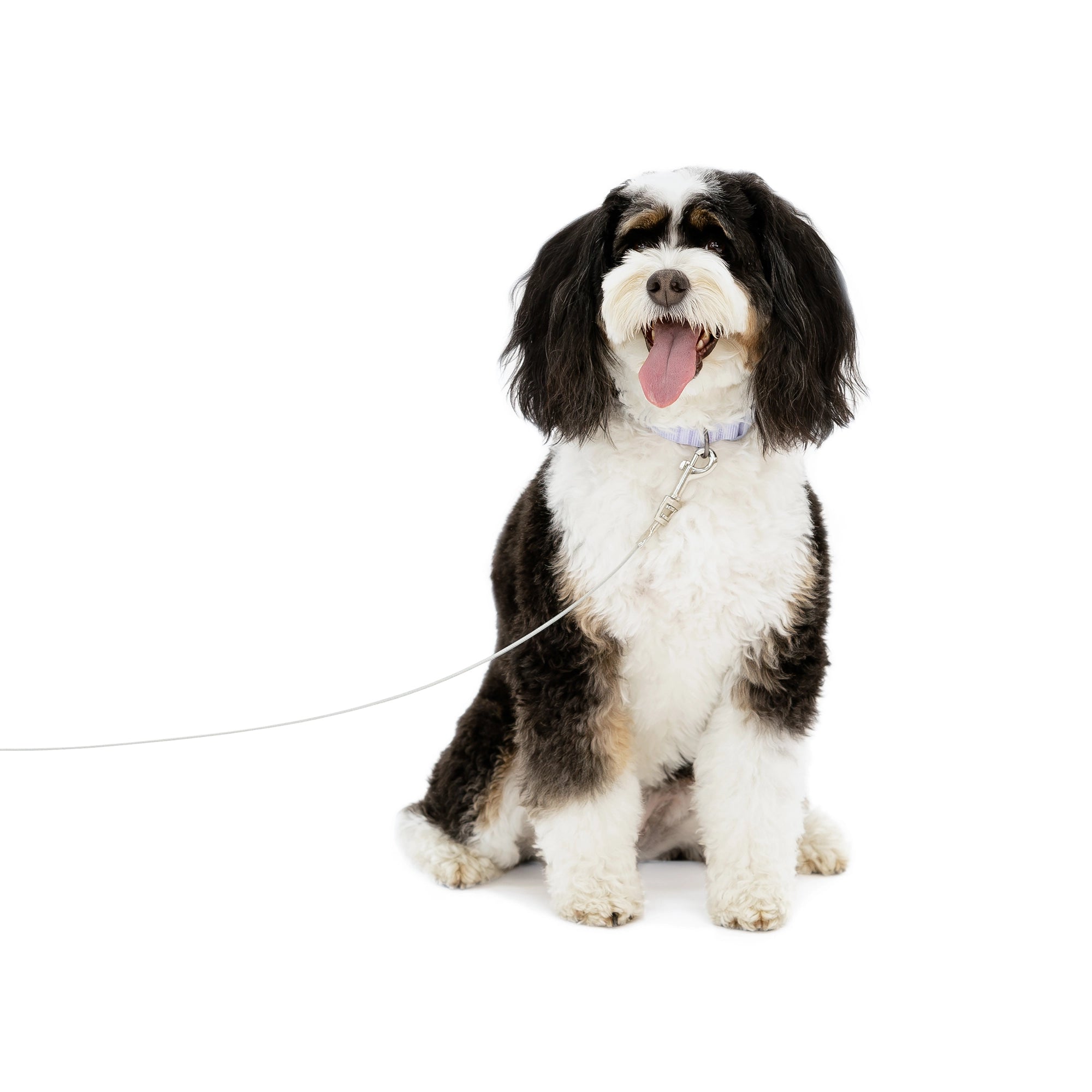 Carlson Small Dog Tie-Out Cable is a 10-foot, 50-pound capacity steel wire cable for pet containment. Features a collar/harness clasp for your pet and a spring cage clasp for secure stake attachment. Ideal for outdoor use, camping, or travel, and works with Carlson Barbed or Screw Stake.