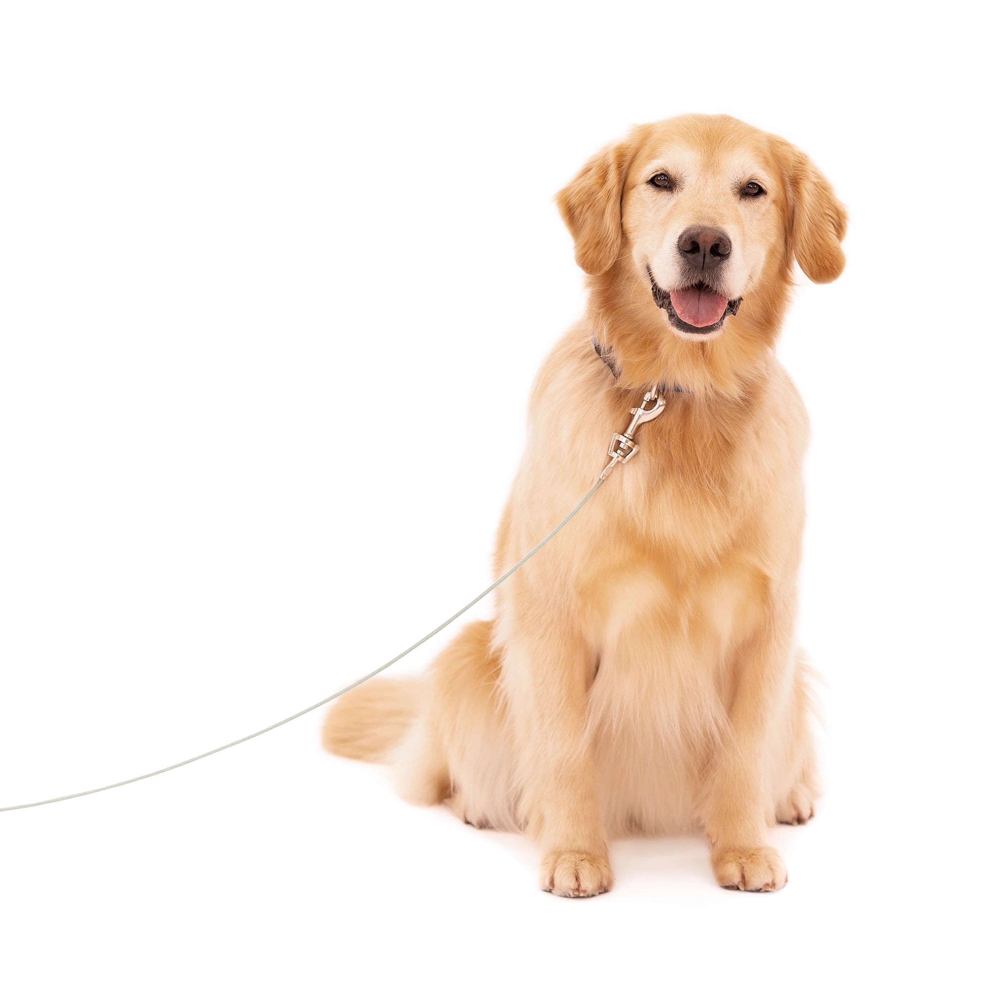 The Carlson Large Dog Tie-Out Cable is a 30-foot, steel wire cable designed for dogs up to 150 pounds, offering a safe outdoor containment solution. Ideal for homes without a fenced yard or for travel, it includes secure collar/harness and spring cage clasps for added safety. Paired with Carlson stakes for easy installation.