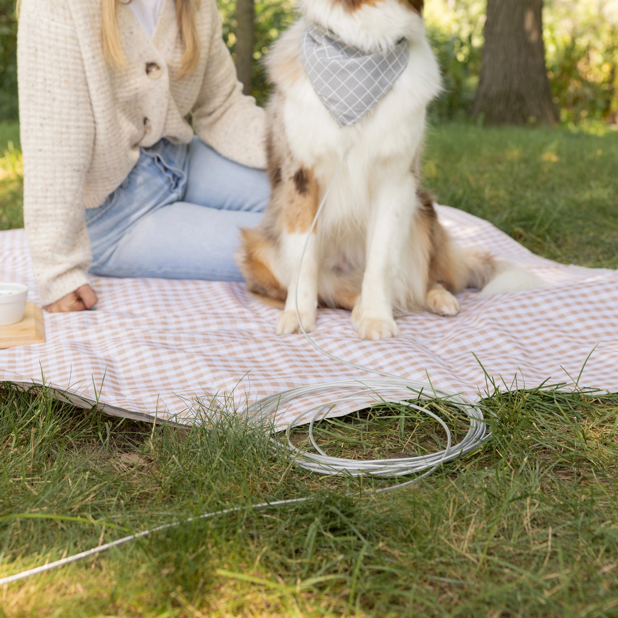 The Carlson Large Dog Tie-Out Cable is a 30-foot, steel wire cable designed for dogs up to 150 pounds, offering a safe outdoor containment solution. Ideal for homes without a fenced yard or for travel, it includes secure collar/harness and spring cage clasps for added safety. Paired with Carlson stakes for easy installation.