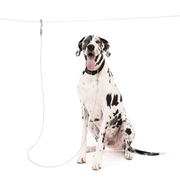 The Carlson Extra-Large Trolly Cable & Dog Tie-Out, featuring a durable steel wire 50-foot run cable, 10-foot tie-out cable, and metal screw hooks, designed to securely contain pets up to 200 pounds. Ideal for outdoor use, easy to install with a pulley system for freedom of movement.