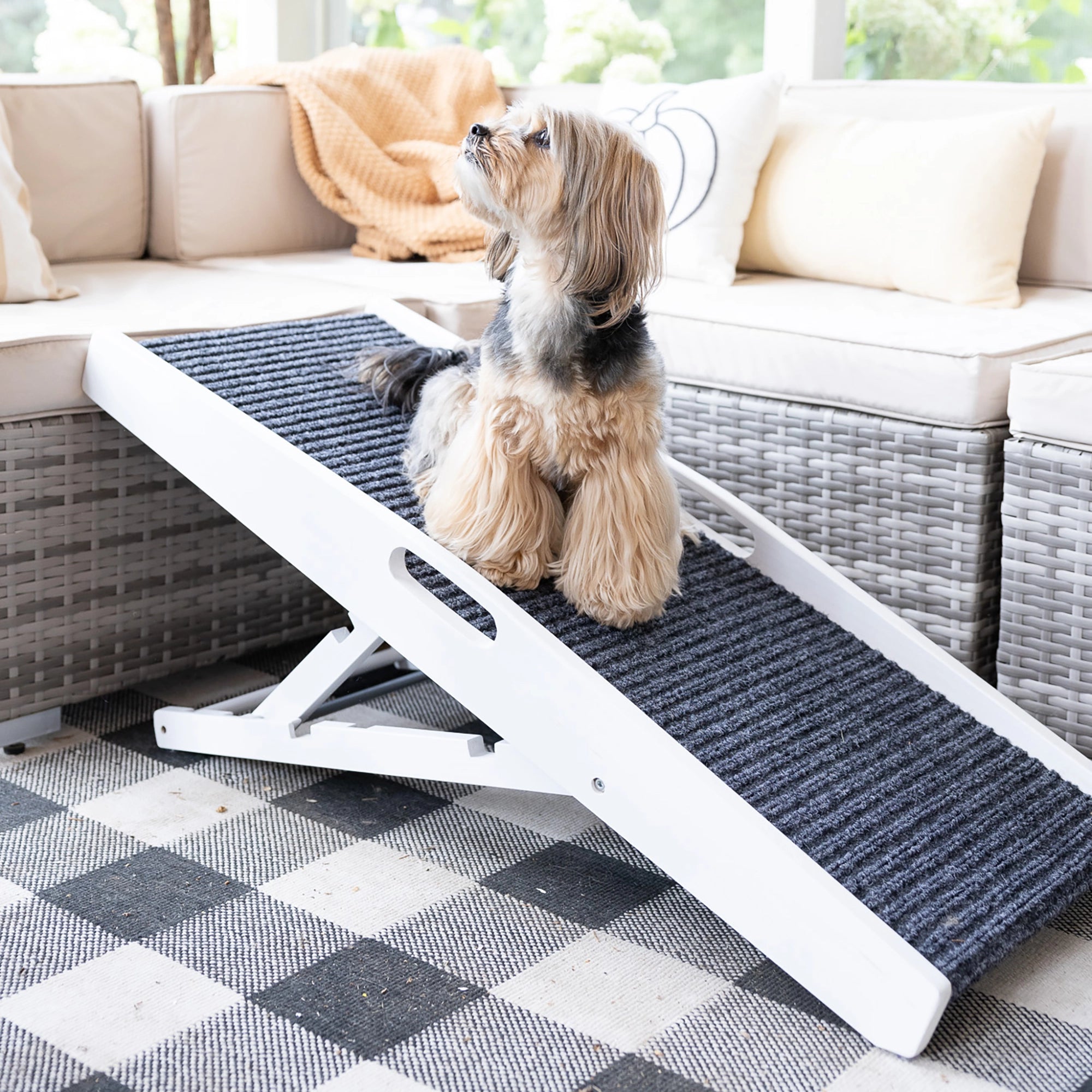The Carlson Indoor Pet Ramp provides safe, adjustable access for pets up to 80 lbs with a foldable design, non-slip carpet, and easy portability.