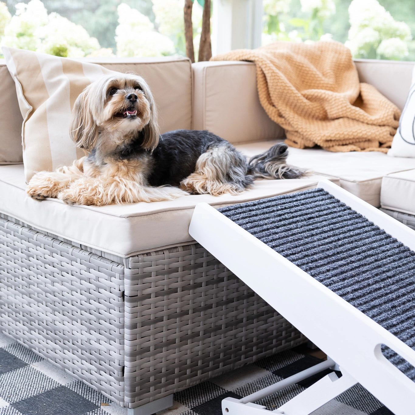 The Carlson Indoor Pet Ramp provides safe, adjustable access for pets up to 80 lbs with a foldable design, non-slip carpet, and easy portability.